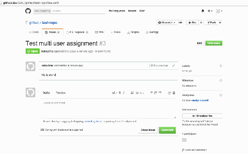 Multiple assignees on Issues and Pull requests