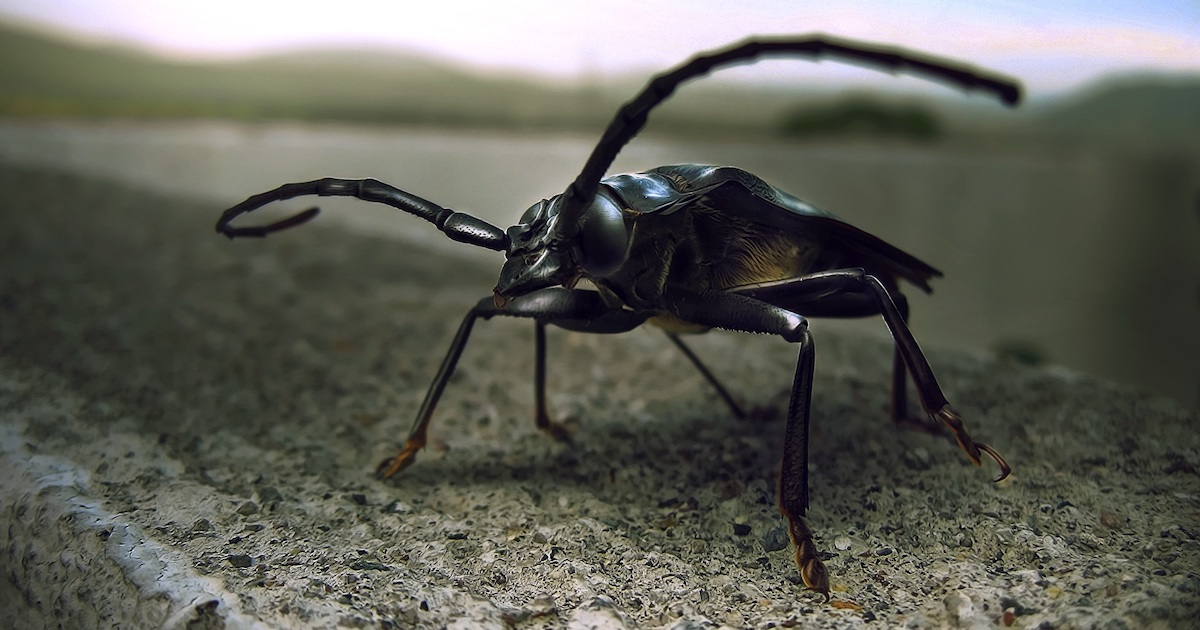 The little bug that couldn't: Securing OpenSSL