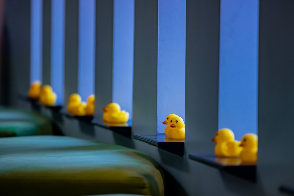 What's with all the ducks? - The GitHub Blog