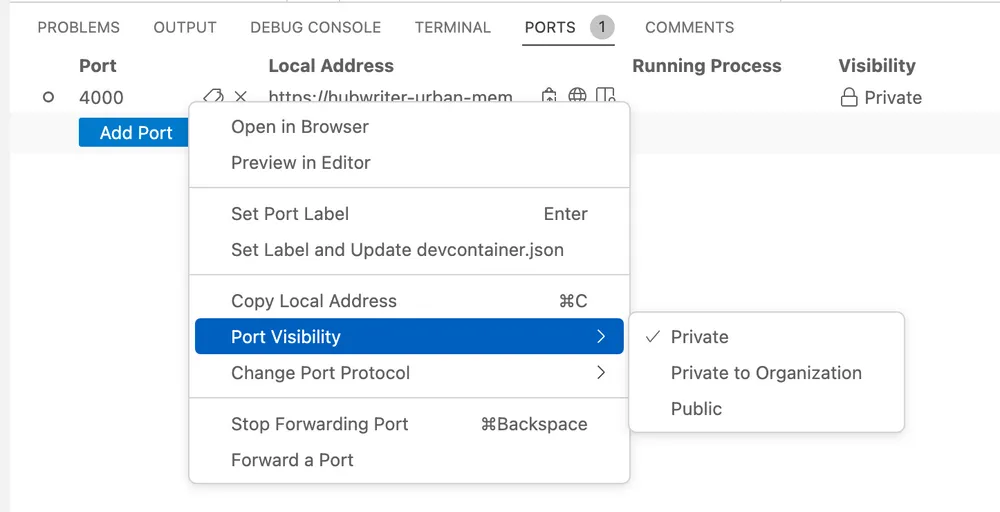 Screenshot of how to share the URL of your locally hosted web app by setting its port to public.