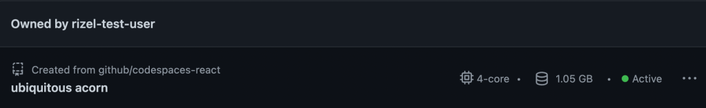 Screenshot showing Codespaces overview.