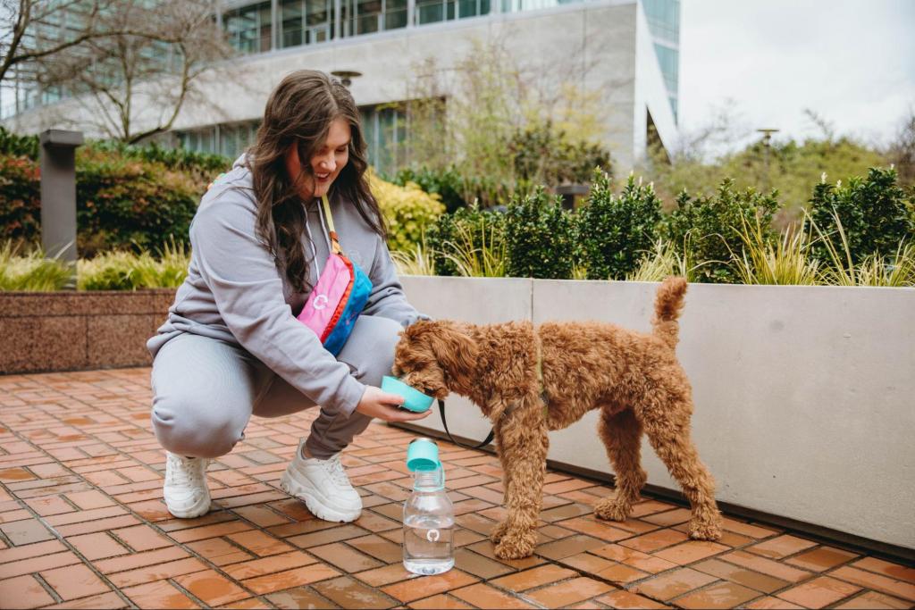 A smiling woman wearing a grey sweatsuit and a brightly colored GitHub bag across her chest crouches down to give a curly haired dog some water out of a GitHub dog bowl.