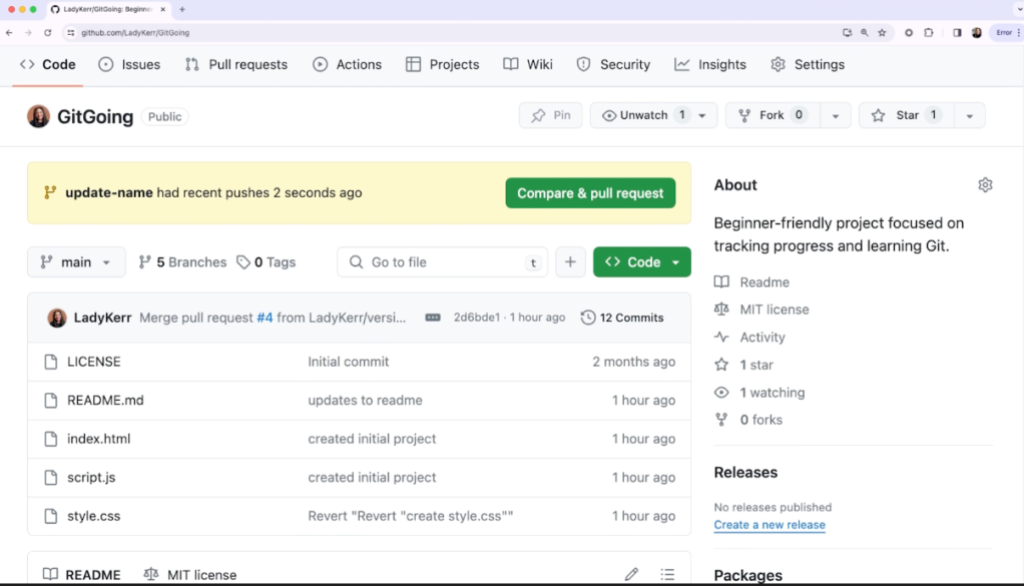 Screenshot of a GitHub repository showing the recent push.