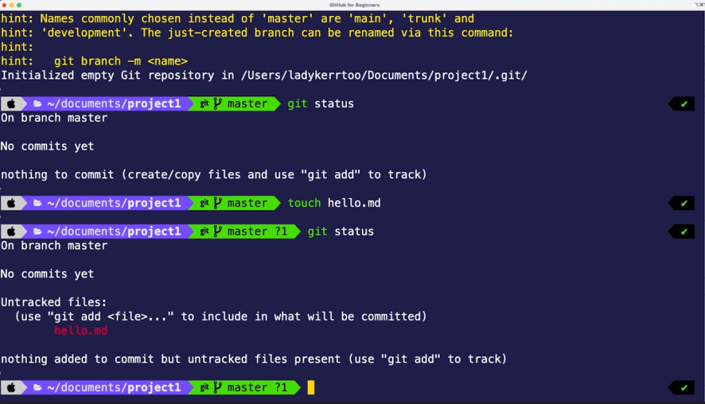Screenshot of the terminal showing the results of git status on a newly created, untracked file.