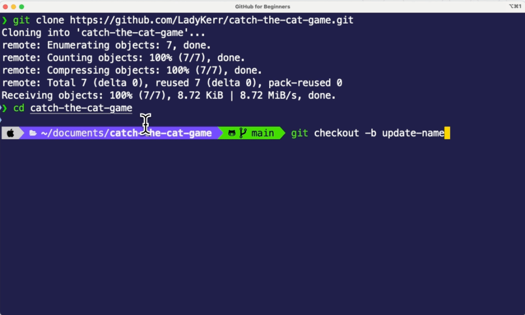 terminal showing the git command 