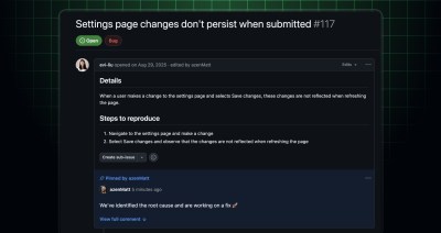Pinned comment on an issue