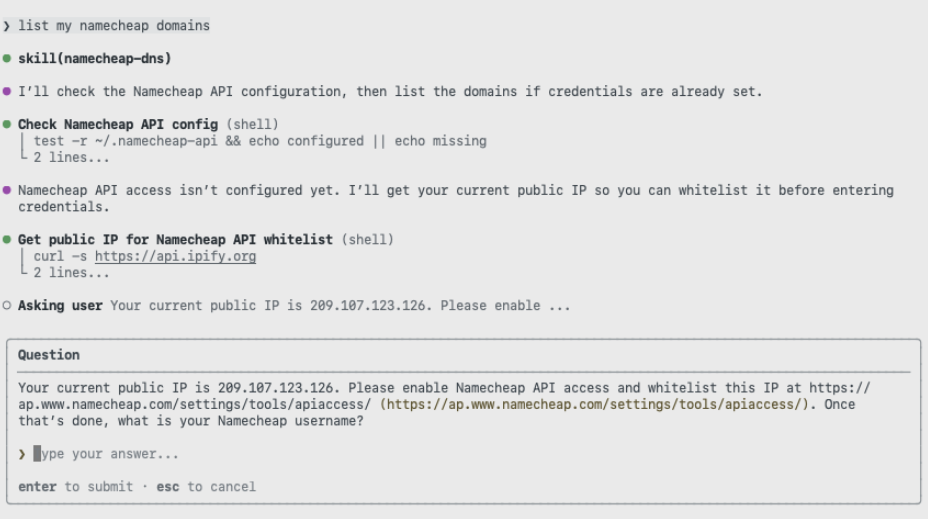 Screenshot showing Copilot CLI prompt 'list my namecheap domains.'