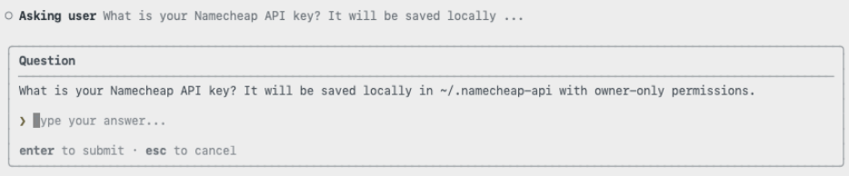 Screenshot of Copilot asking the user 'What is your namecheap API key? It will be saved locally...'