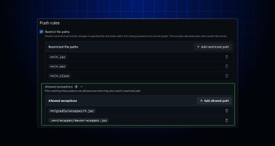 GitHub push rules restricting broad set of file types, with exceptions for specific paths.