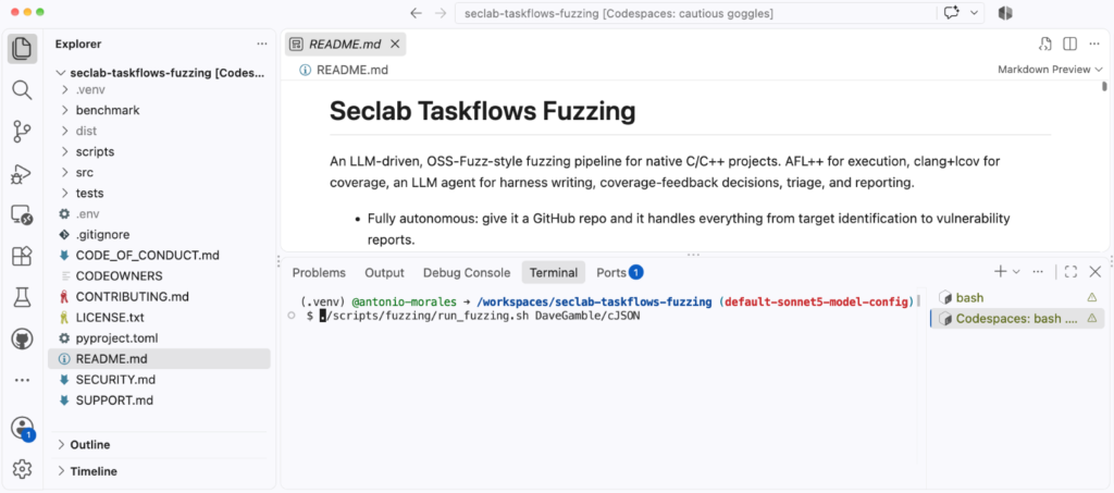 Screenshot of Seclab Taskflows Fuzzing.